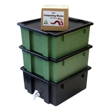 COMBO SPECIAL: WormsRus Worm Farm - Base and 2 Feeding trays with 250g Worms