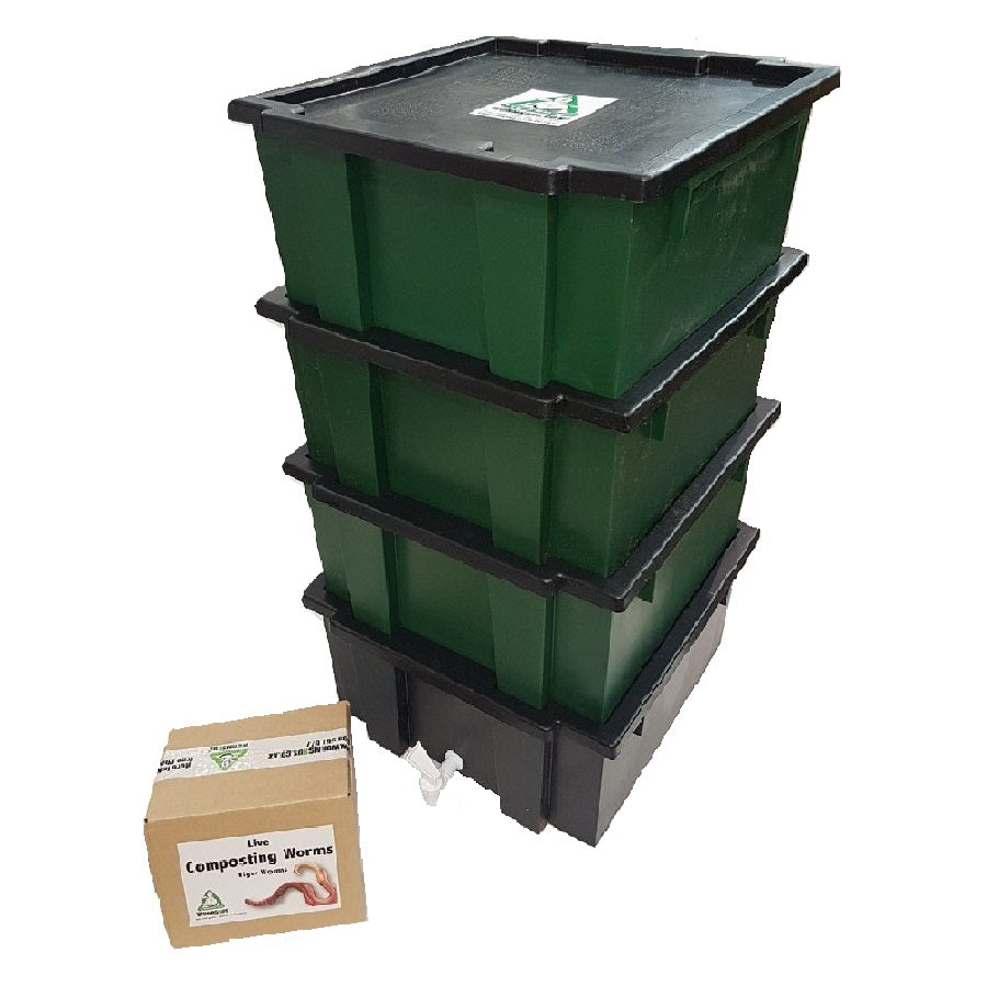 COMBO WormsRus Worm Farm Base and 3 Feeding trays with 250g Worms